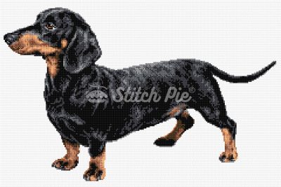 Dachshund Dog (digital pattern)
