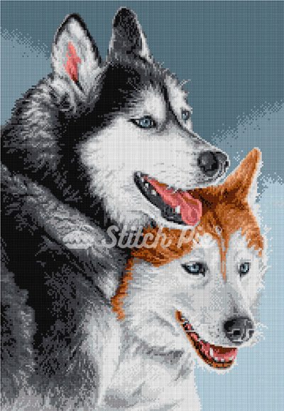 Siberian Husky Dog (digital pattern)