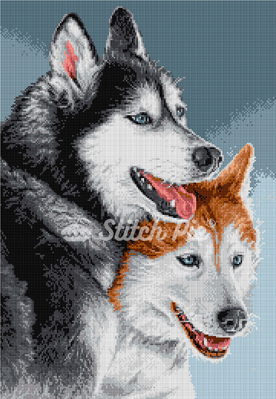 40180811-Siberian-Husky-Dog-logo