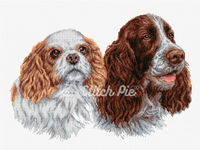 40180908-Cocker-Spaniel-Dog-logo