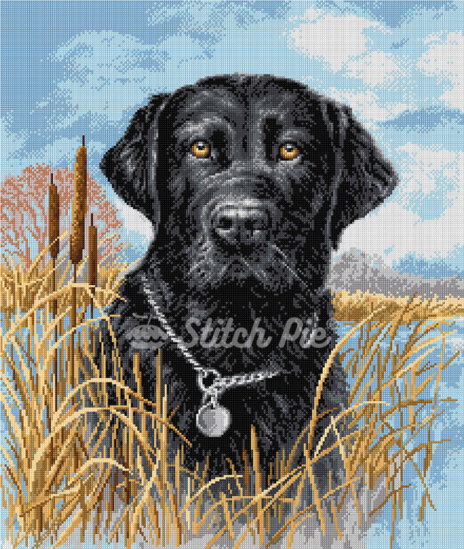 40181108-Labrador-Dog-logo