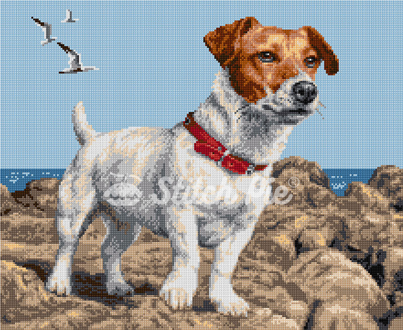 40181208-Jack-Russell-Terrier-Dog-logo