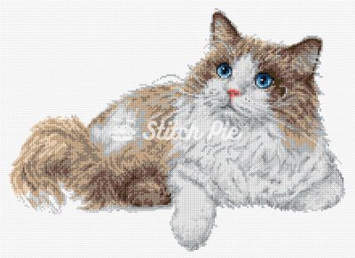 Ragdoll Cat (digital pattern)