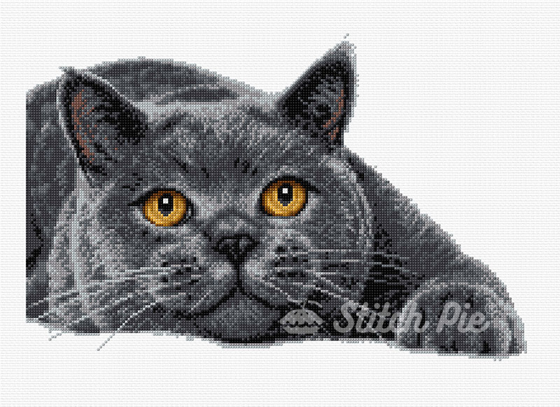 40192323-British-Shorthair-Cat-logo