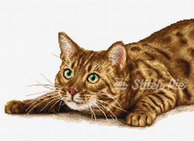 Bengal Cat (digital pattern)