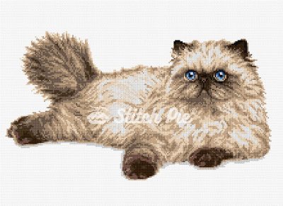 Himalayan Cat (digital pattern)