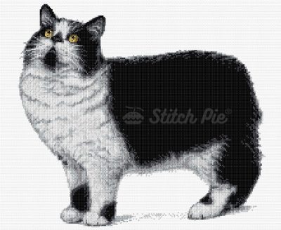 Cymric Cat (digital pattern)