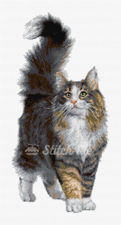 Norwegian Forest Cat (digital pattern)