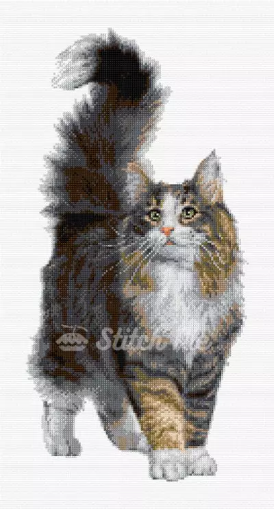 Norwegian Forest Cat (digital pattern)