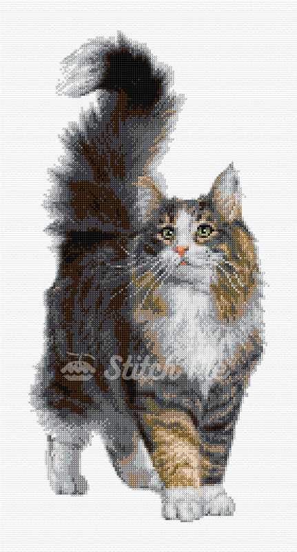 40192812-Norwegian-Forest-Cat-logo