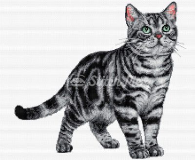 American Shorthair Cat (digital pattern)