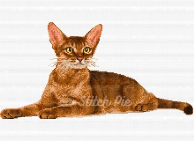 Abyssinian Cat (digital pattern)