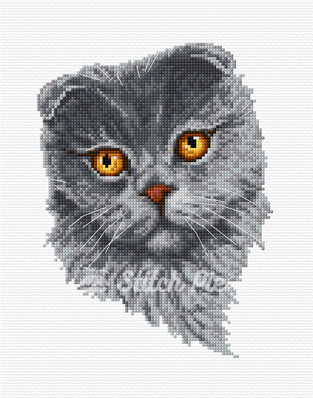 40197118-Scottish-Fold-Cat-logo